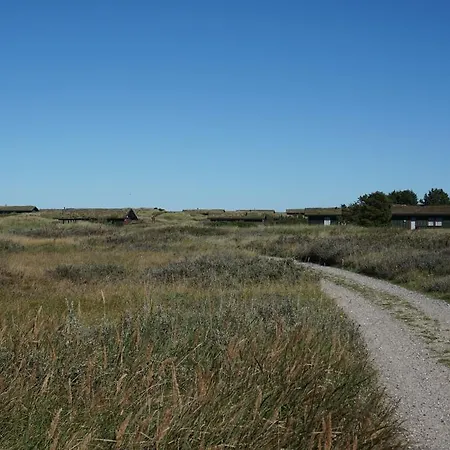Holiday - - Skagen 021616